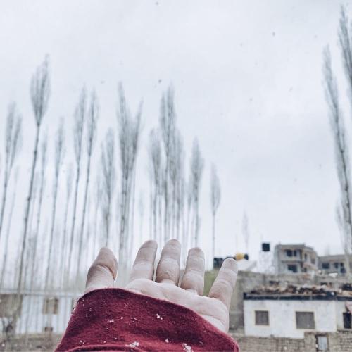 สมาชิกหมายเลข 4846397