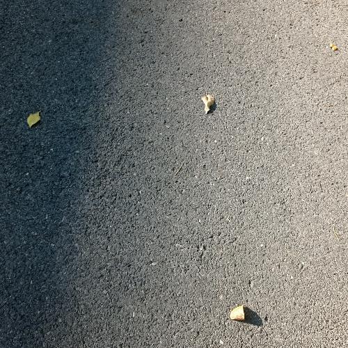 สมาชิกหมายเลข 3891759