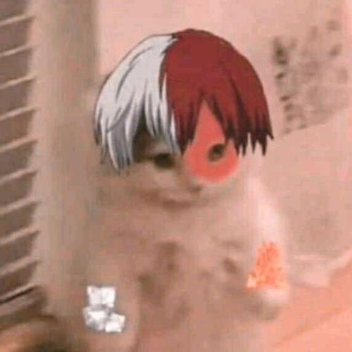 สมาชิกหมายเลข 5502601