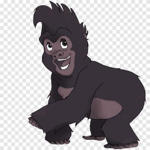 สมาชิกหมายเลข 6233395