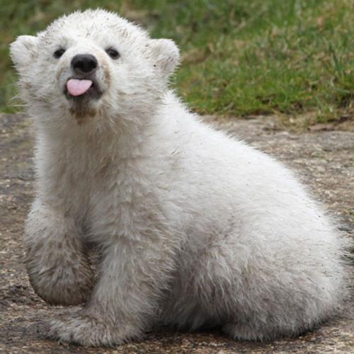 สมาชิกหมายเลข 6234899