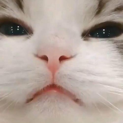 สมาชิกหมายเลข 6235137