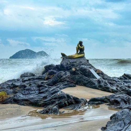 สมาชิกหมายเลข 1684431