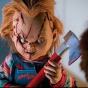 สมาชิกหมายเลข 2008263