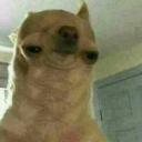 สมาชิกหมายเลข 3541930