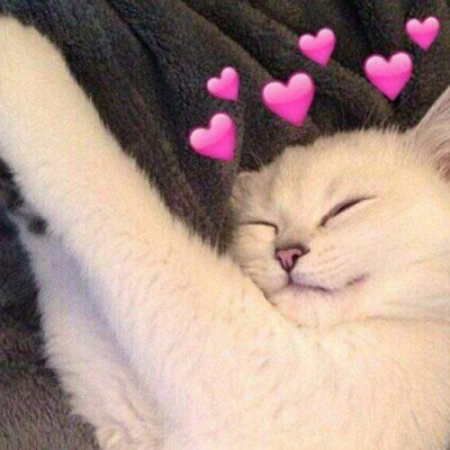 สมาชิกหมายเลข 5234331