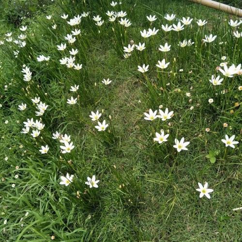 สมาชิกหมายเลข 4943176