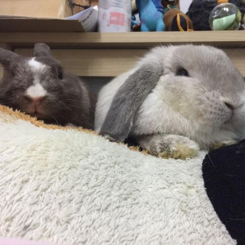 สมาชิกหมายเลข 5660862