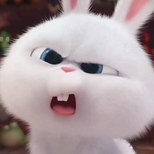 สมาชิกหมายเลข 5922540