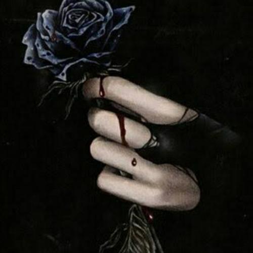 สมาชิกหมายเลข 6236357