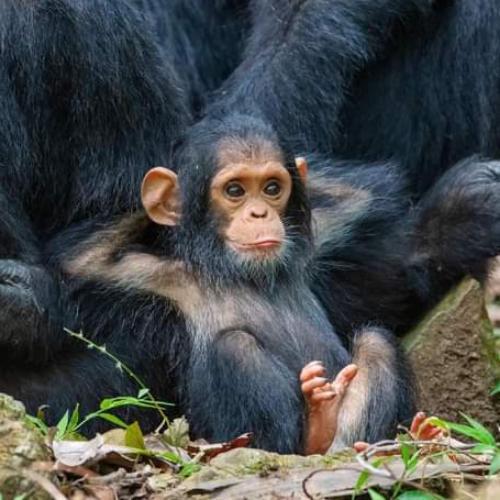 สมาชิกหมายเลข 5841918