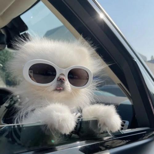 สมาชิกหมายเลข 6824571