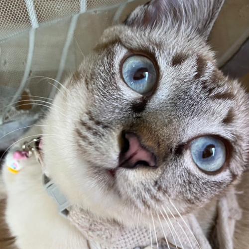 สมาชิกหมายเลข 5120687