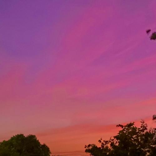 สมาชิกหมายเลข 7996628