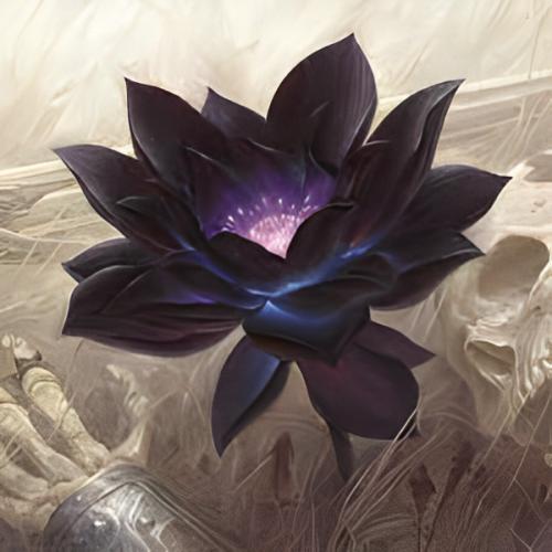 สมาชิกหมายเลข 8553846