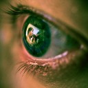 สมาชิกหมายเลข 1979229