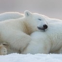 สมาชิกหมายเลข 3834905