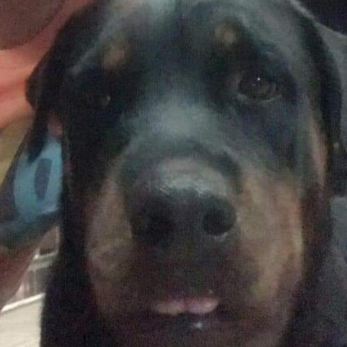 สมาชิกหมายเลข 6236926