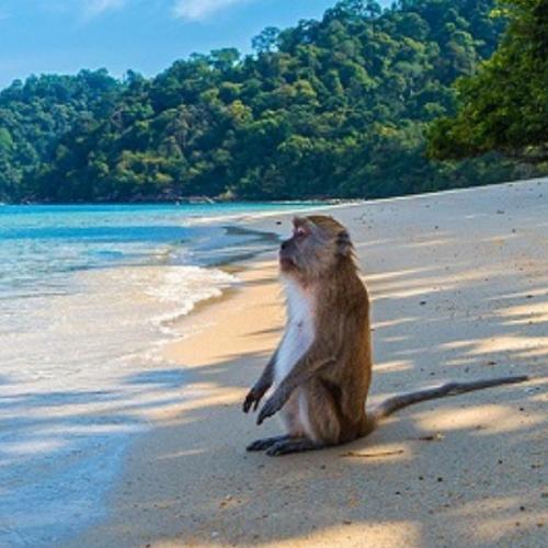 สมาชิกหมายเลข 6850362