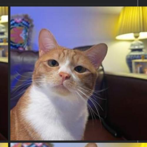 สมาชิกหมายเลข 5124321