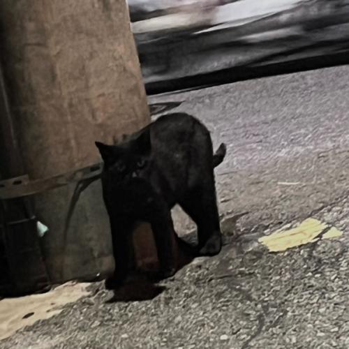 สมาชิกหมายเลข 6131016