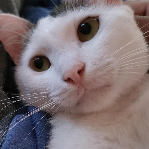 สมาชิกหมายเลข 7641658