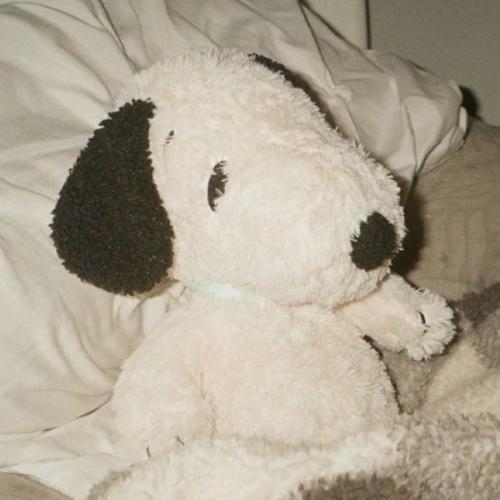 สมาชิกหมายเลข 6594339