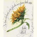 สมาชิกหมายเลข 1452105