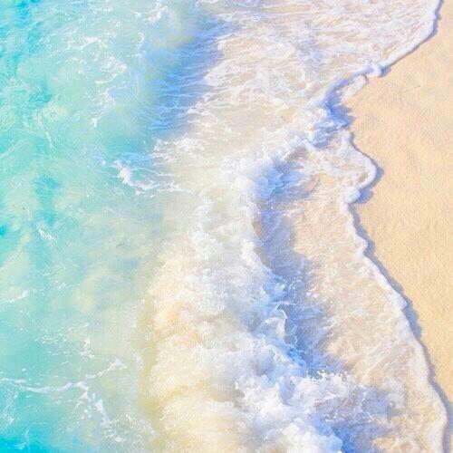 สมาชิกหมายเลข 4511247