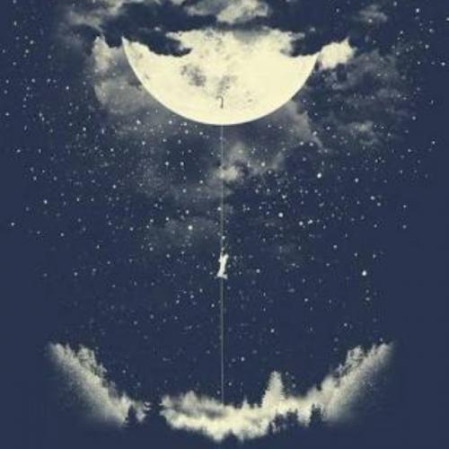 สมาชิกหมายเลข 4511249