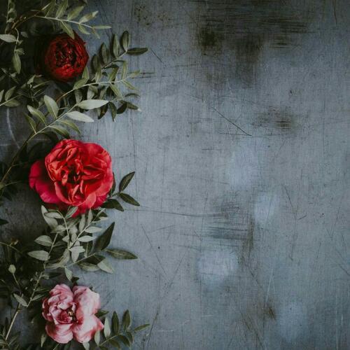 สมาชิกหมายเลข 3782937