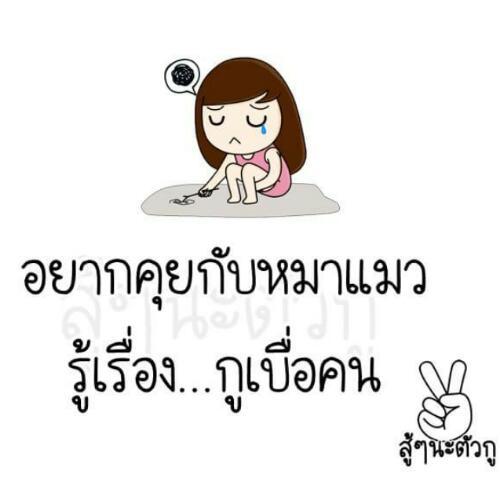 สมาชิกหมายเลข 4840090