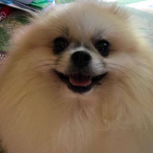 สมาชิกหมายเลข 5235219