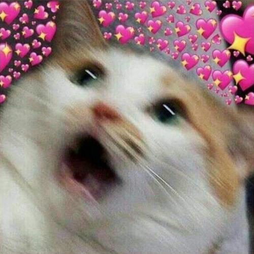 สมาชิกหมายเลข 4333951