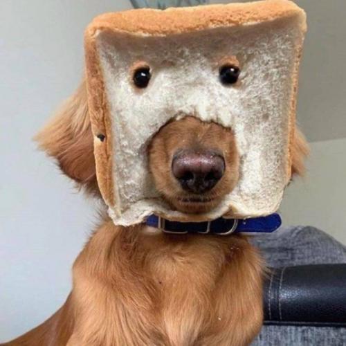 สมาชิกหมายเลข 6161544