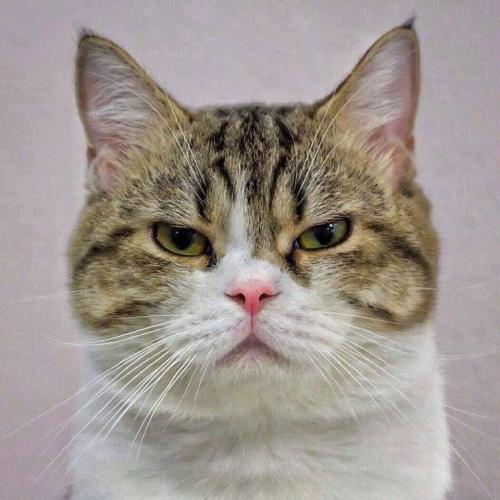 สมาชิกหมายเลข 6237084