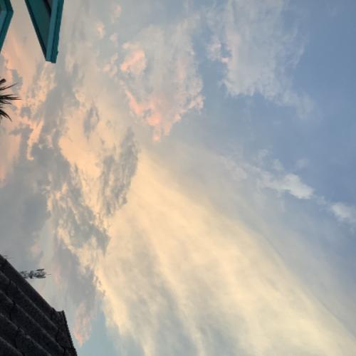 สมาชิกหมายเลข 4515226