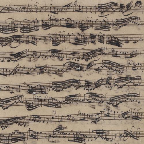 สมาชิกหมายเลข 7335350