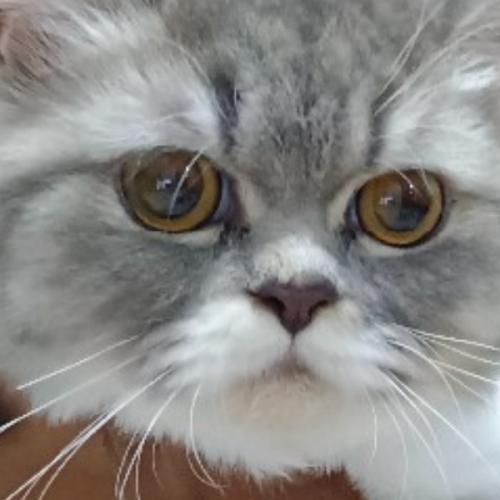 สมาชิกหมายเลข 7653241