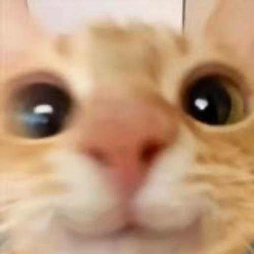 สมาชิกหมายเลข 6410105