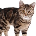 สมาชิกหมายเลข 2111232