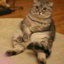 สมาชิกหมายเลข 2846076