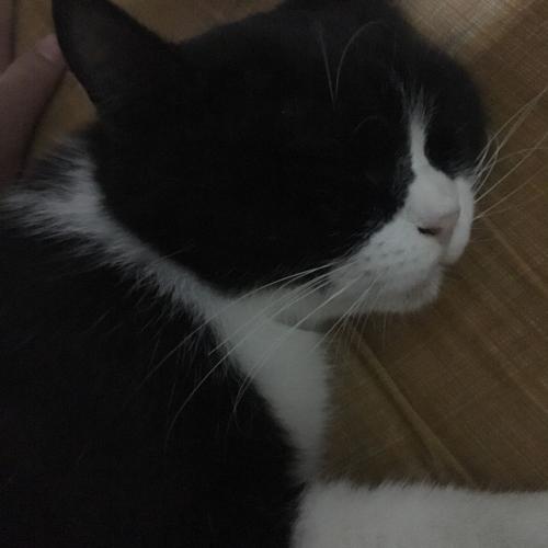 สมาชิกหมายเลข 2197293