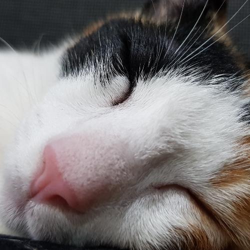 สมาชิกหมายเลข 3104489