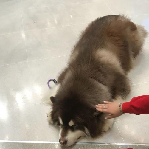 สมาชิกหมายเลข 4847690