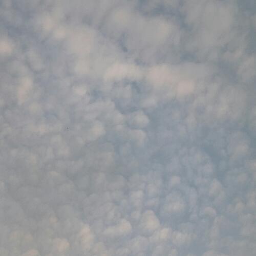 สมาชิกหมายเลข 4847770