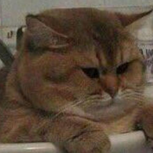 สมาชิกหมายเลข 5328491