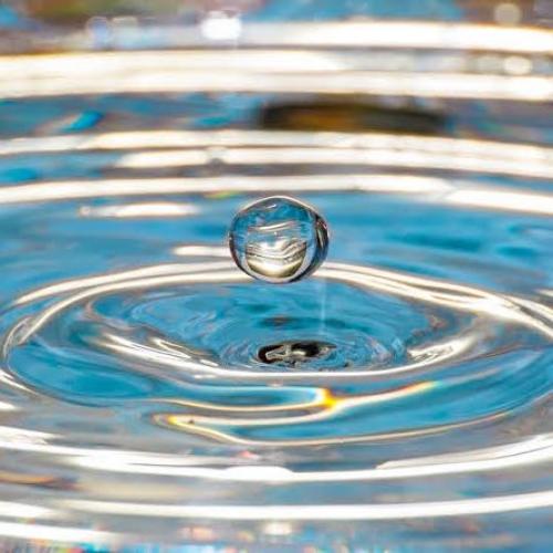 สมาชิกหมายเลข 5662473