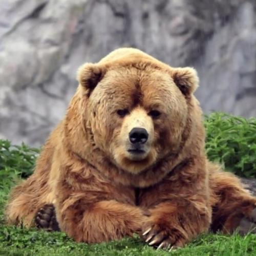 สุภาพบุรุษฮิวโก้