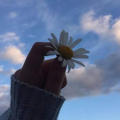 สมาชิกหมายเลข 6238320